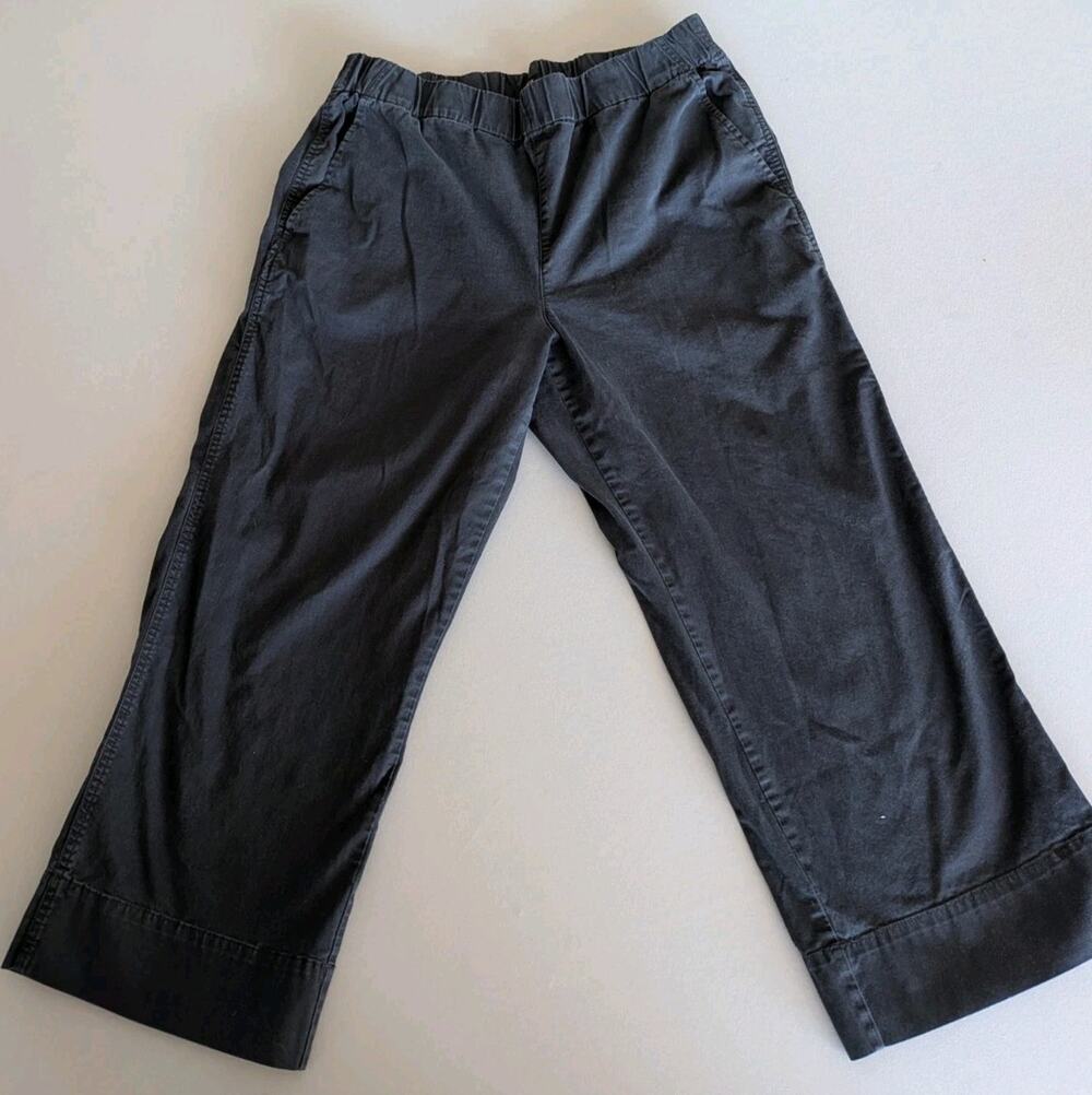 Quince Navy Blue Organic Cotton Stretch Elastic Waist Wide Leg Chino Pants 14